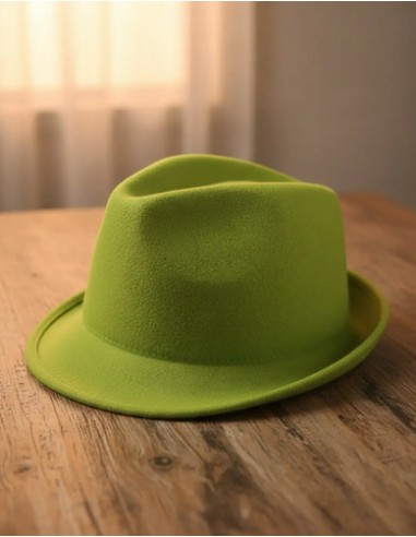 Sombrero Fedora Pura Lana Verde...
