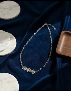 Collar Largo Metal Con...