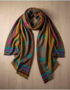 Pashmina Multicolor Ancha... 2