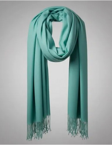 Pashmina Italiana Chal Acqua Lisa...