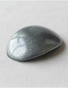 Hebilla Gris Grande Moda...